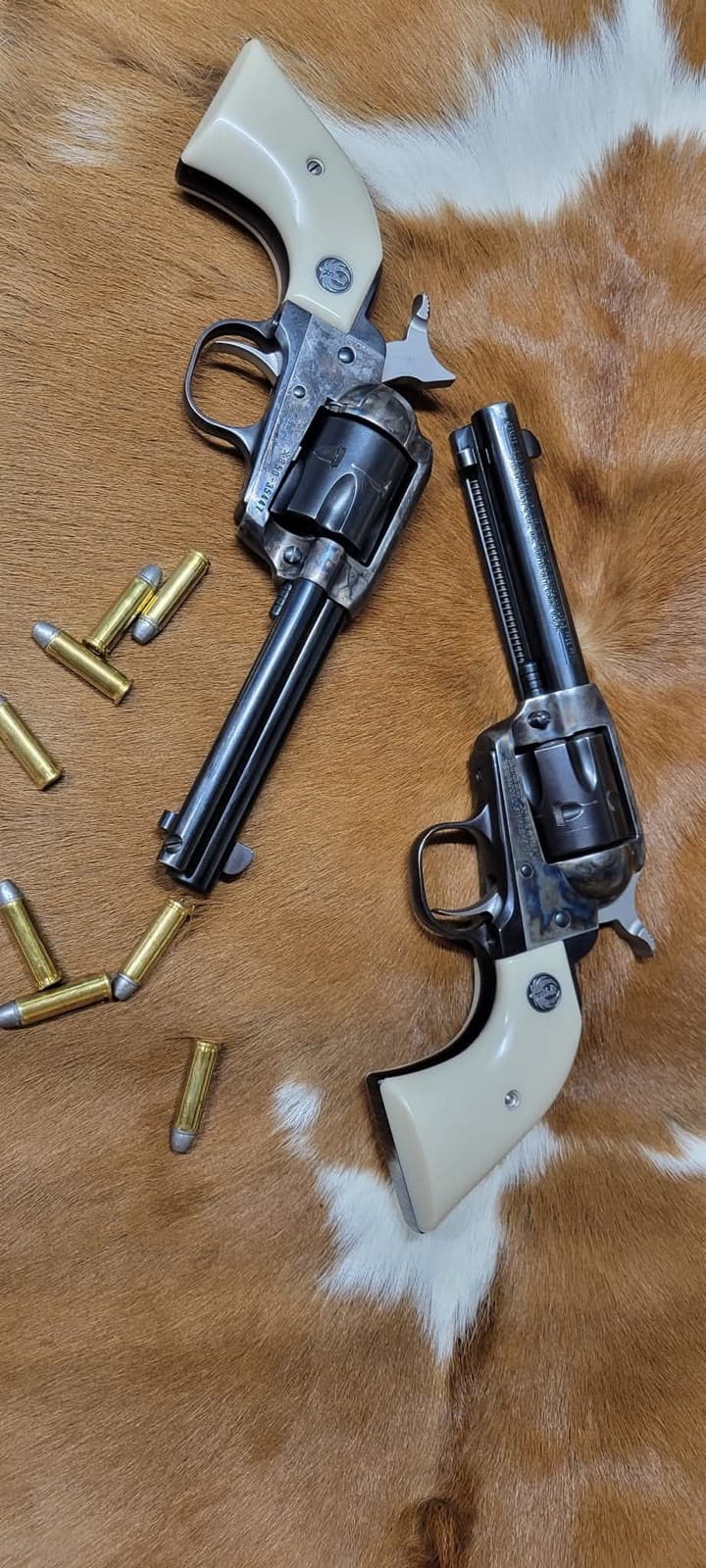 A pair of single action revolvers and loose cartridges on a hide, the platform cowboy action revolver tuning is built around
